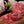 Carica l'immagine nel Visualizzatore galleria, Salame Granduca di Toscana a Metà Sottovuoto 1,4kg